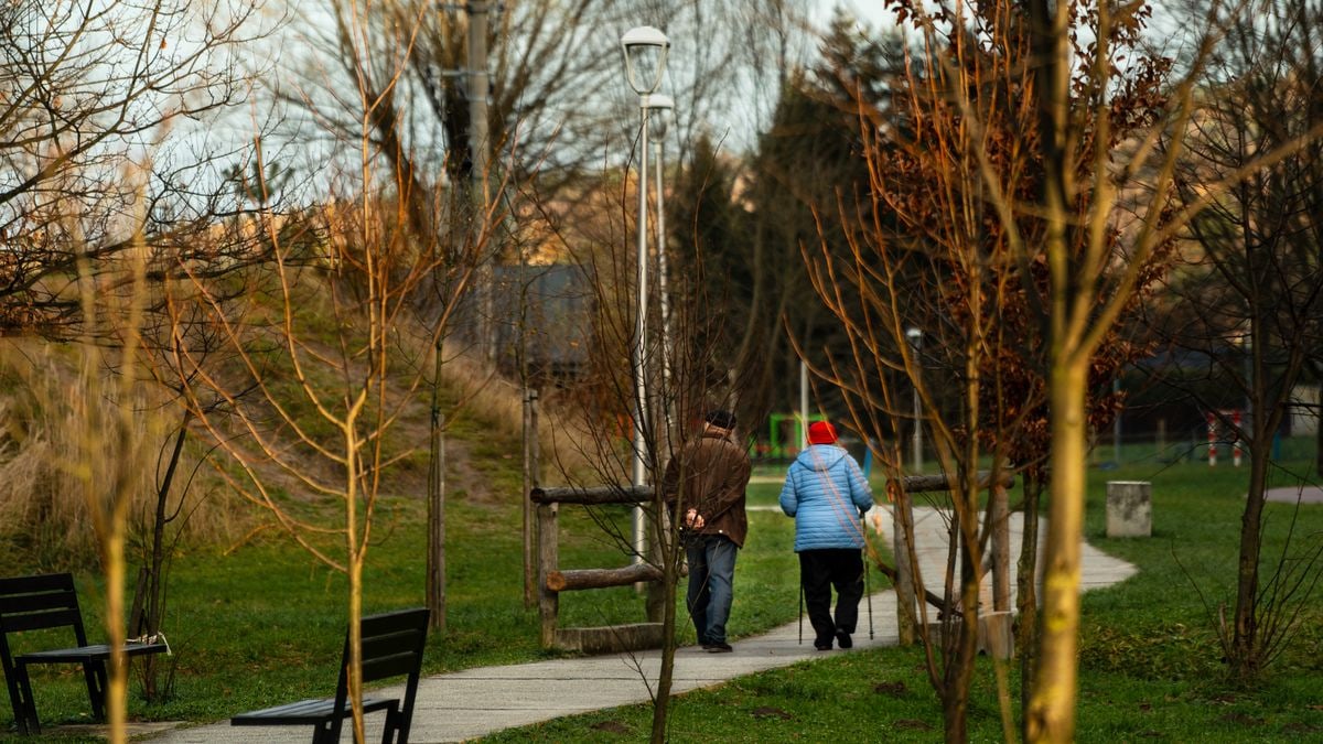 An elderly couple strolls through a serene park setting under the autumn trees.